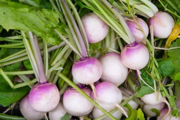 Local Produce